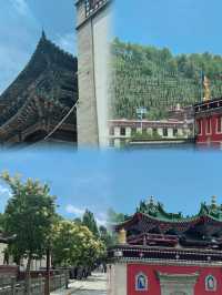 西寧7~8月真係唔建議去，因為實在係～～～