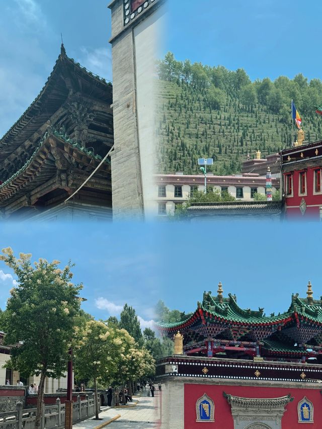 西寧7~8月真係唔建議去，因為實在係～～～