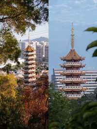 夏日出行｜NOA出發 · 仙岳山半日清旅