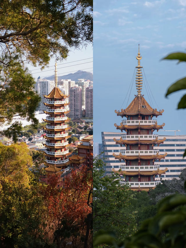 夏日出行｜NOA出發 · 仙岳山半日清旅