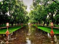 Exploring Chaoyang District's Parks: A Green Oasis in Beijing