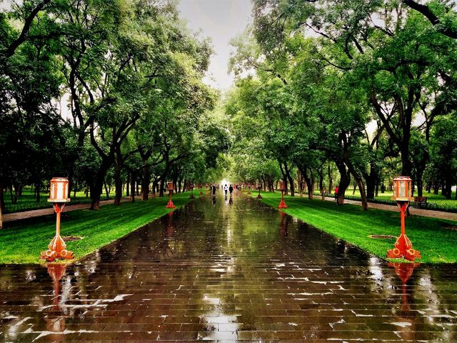 Exploring Chaoyang District's Parks: A Green Oasis in Beijing