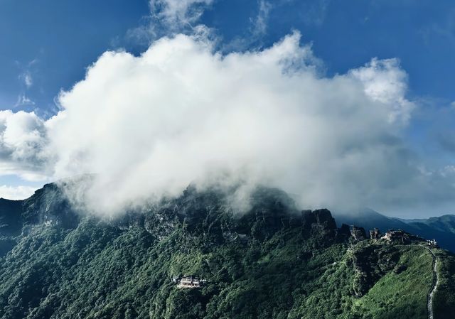 雲霧仙境蘑菇石