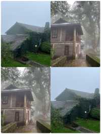 莫干山返嚟啦，同大家分享下我嘅真實感受