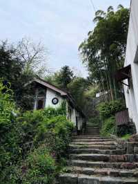 莫干山綠野仙蹤民宿