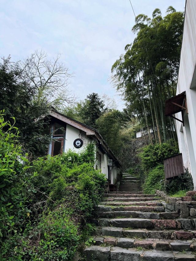 莫干山綠野仙蹤民宿