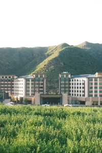 崇禮夏天嘅「天然冷氣房」，就喺呢間萬怡入面～