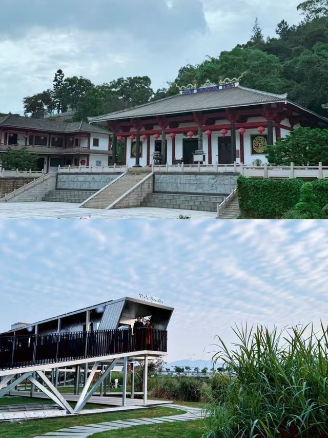 寧德已回,我的建議是… 寧德已回,我的建議是…