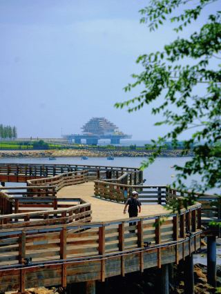 Free Energy Spots in Yantai (Collection)