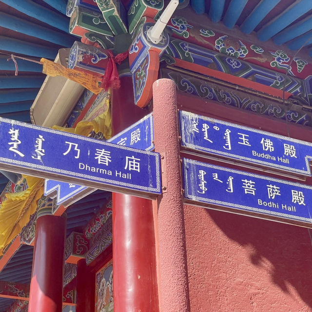 【中国 内モンゴル自治区】フフホト・大召無量寺 — 呼和浩特の歴史と信仰の宝庫