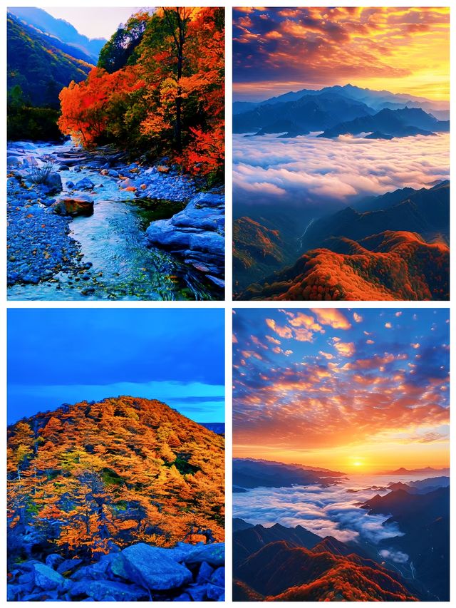 玩轉秦嶺深秋雲海美景盡顯