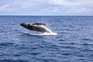 10-Day Australia Adventure: Your Ultimate Guide