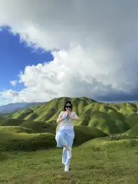 寧德柘榮鴛鴦草場。