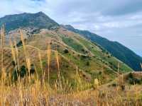 大南山最美高山草甸