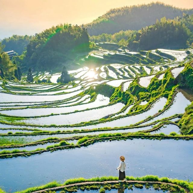 浙江麗水旅遊攻略