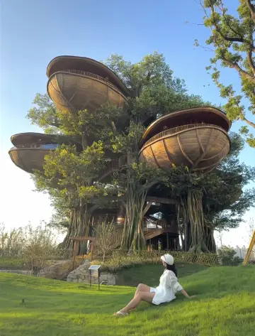 武漢新地標開元森泊度假樂園開建!親子遊yyds