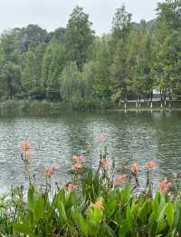 中式園林賞花記