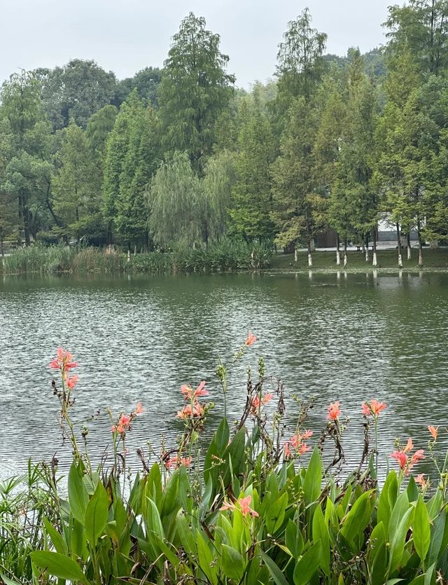 中式園林賞花記