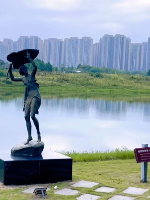 醉入油畫仙境！長沙洋湖濕地花海暴走指南