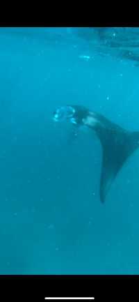Family Dive Adventure in Vilamendhoo