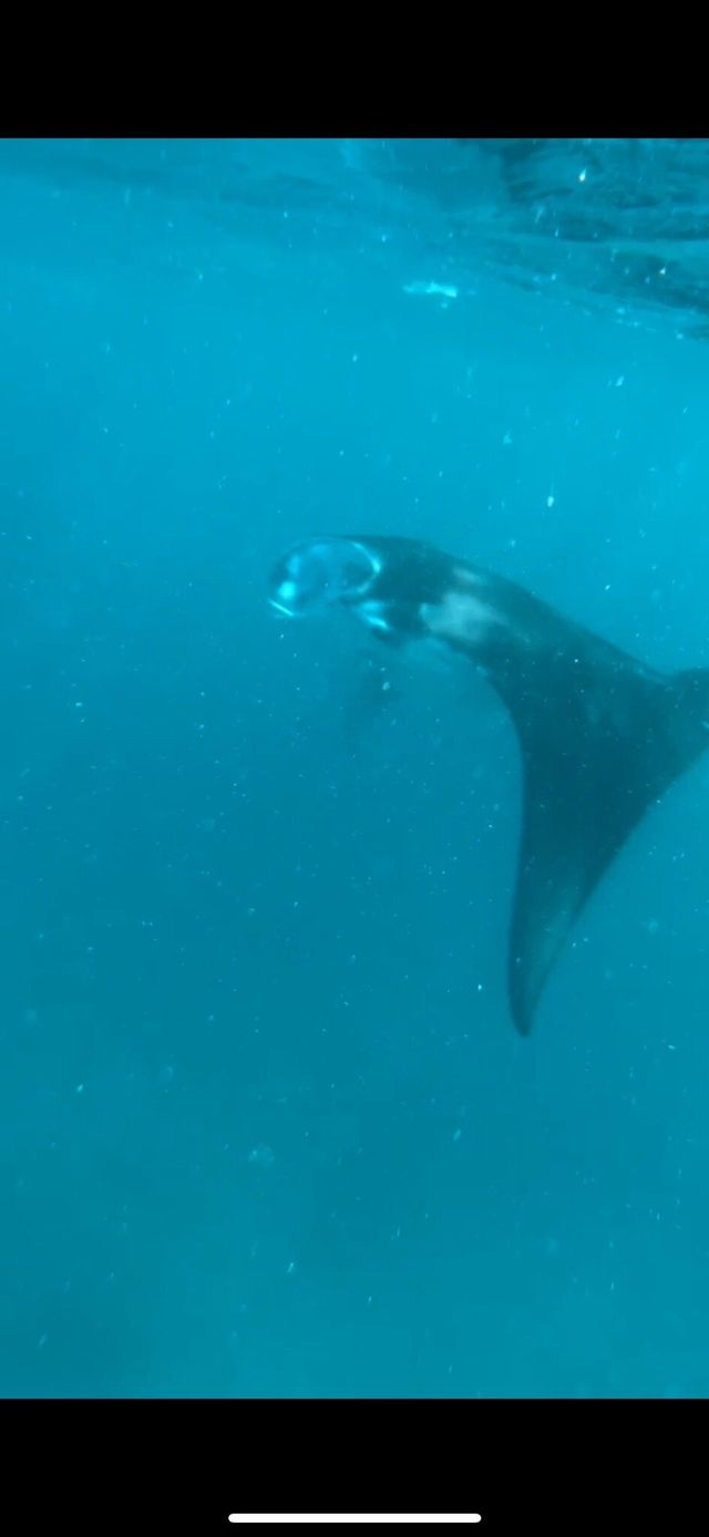 Family Dive Adventure in Vilamendhoo