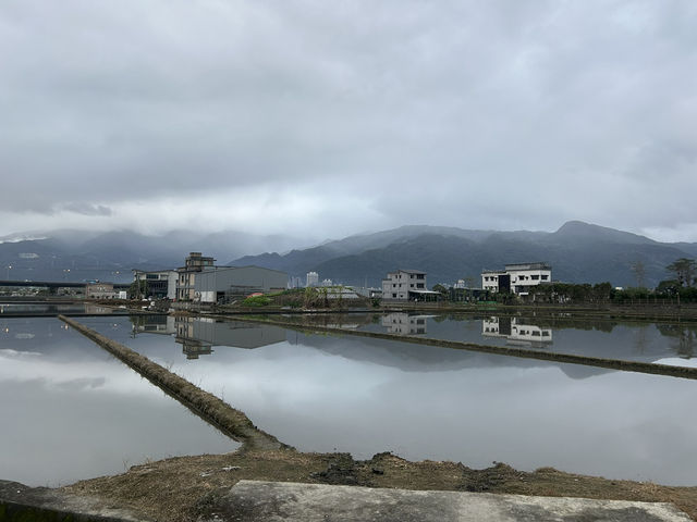 🍣 明水然．嵐｜視覺與味覺的雙重享受