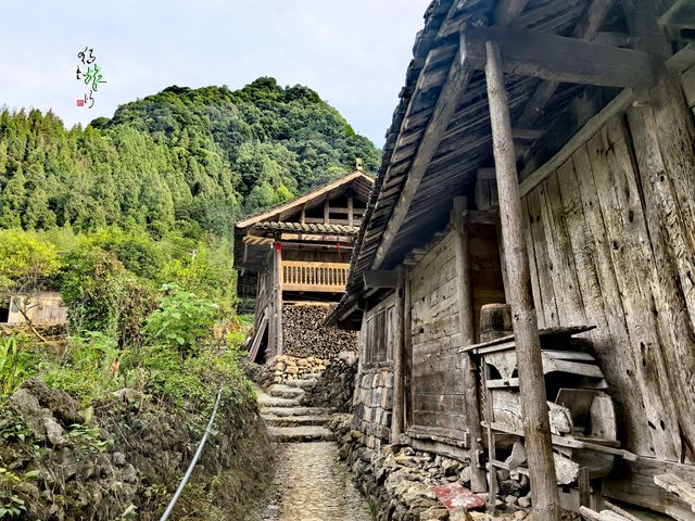 自生橋村的自生橋