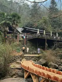 離滬計劃（41/100）桐廬 ｜ 山裡當野人的日子