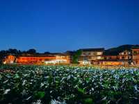 丘北慢時光｜漫步普者黑，在古街屋簷下邂逅詩意雲南  必去理由： 600年古村治癒系慢生活！山水畫