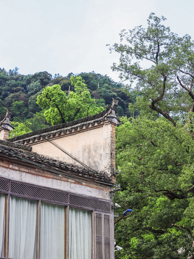 婺源上坦村的時光秘境｜住進300年古宅裡的電影夢