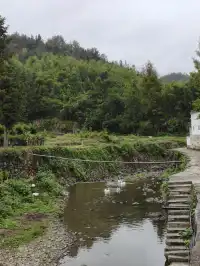 皖南這個寶藏小城,又一次給了我驚喜