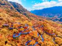 帶三娃嗨玩光霧山!紅葉+飛車+親子趣遊,爸媽不費勁兒還出片
