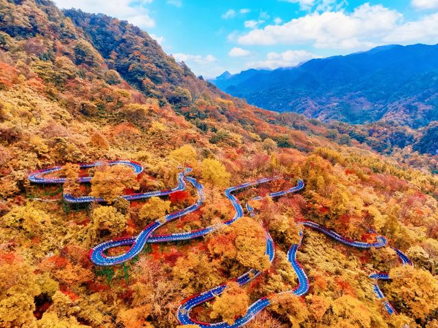帶三娃嗨玩光霧山!紅葉+飛車+親子趣遊,爸媽不費勁兒還出片 帶三娃嗨玩光霧山!紅葉+飛車+親子趣遊,爸媽不費勁兒還出片
