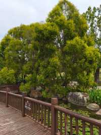 20塊錢玩轉南寧青秀山!花海徒步都太絕了