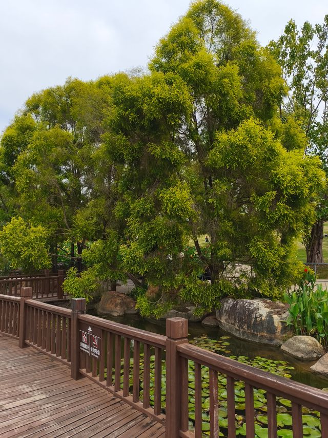 20塊錢玩轉南寧青秀山!花海徒步都太絕了 20塊錢玩轉南寧青秀山!花海徒步都太絕了