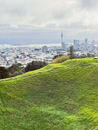 Meadow Magic Auckland🌱🌋 Mount Eden Lookout: Auckland's Ultimate 360° View!