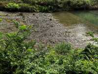 人在旅途、溫州