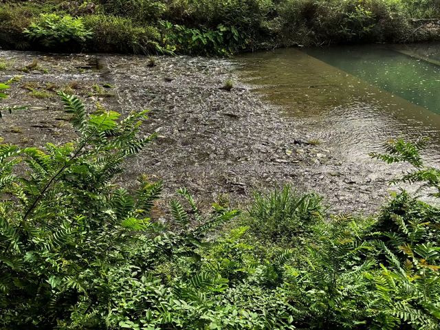 人在旅途、溫州 人在旅途、溫州