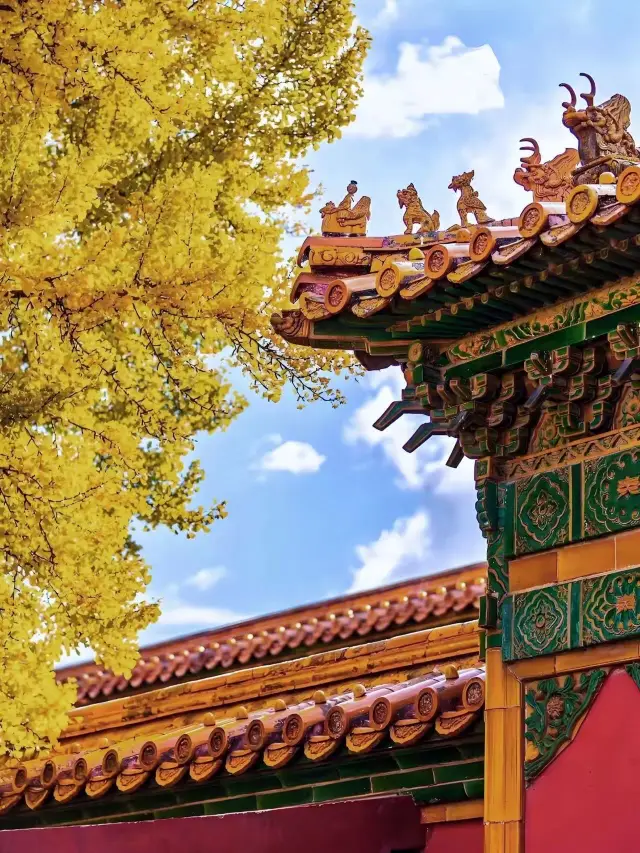 The Forbidden City in autumn is as beautiful as the Purple Forbidden City!