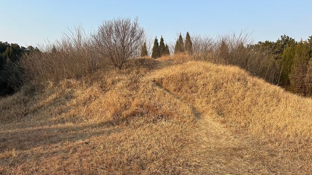 化明塘嚴氏墓丨封藏了600年的淒美愛情故事 化明塘嚴氏墓丨封藏了600年的淒美愛情故事