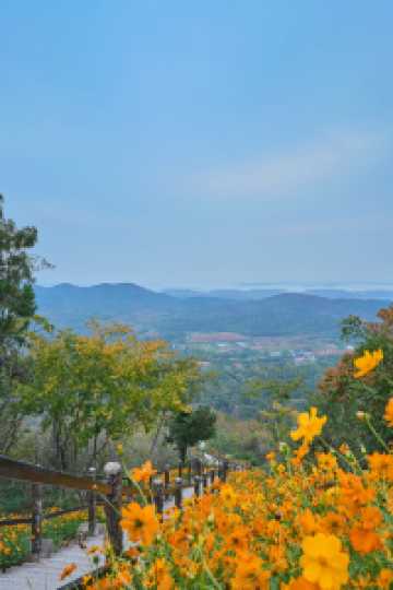 山花燦爛正當時,955階登頂江夏龍泉山