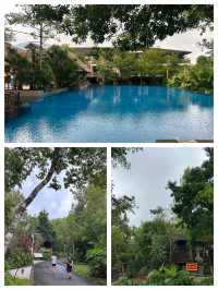 探秘五指山亞泰雨林酒店：住進熱帶雨林的夢幻之境