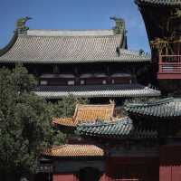 京外名剎之首！正定隆興寺絕美建築打卡攻略