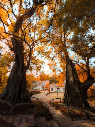무한 주변 여행｜최근에 다녀온 가장 강력한 기운이 느껴지는 숨겨진 고촌!