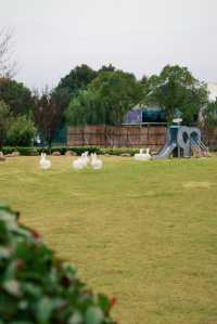 上海迪士尼!日式私湯溫泉好chill