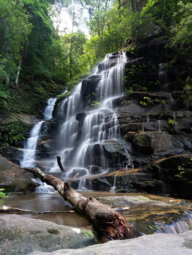 Solo trip to Australia for 11 days, every day brings a different surprise