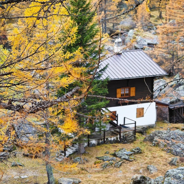🌫️ 안개 낀 알프스의 숨겨진 보석, 알페 데베로