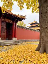 甘肅隱藏彩林秘境錯峰包場「隴上小九寨」