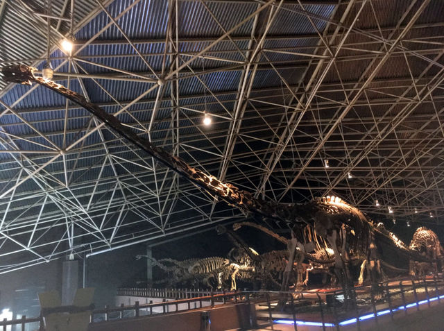 所謂「北有兵馬俑,南有恐龍谷」楚雄世界恐龍谷全攻略 所謂「北有兵馬俑,南有恐龍谷」楚雄世界恐龍谷全攻略