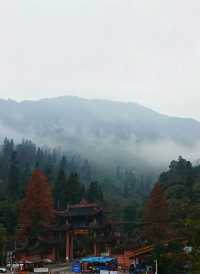 峨眉山今日照片｜雲海奇觀，運氣爆棚！